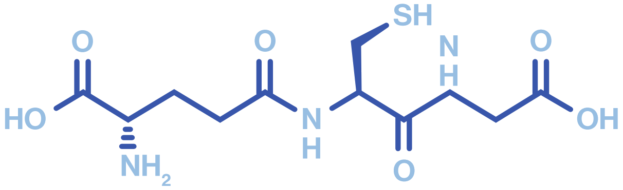 Bienestar celular con salud antioxidante y nutrición científica